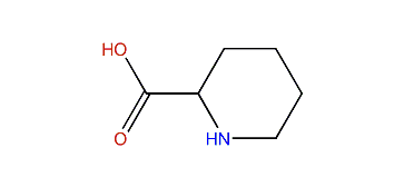 Piperidine-2-carboxylic acid